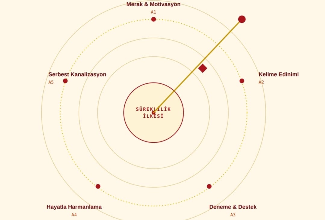 VaBien Süreklilik İlkesi metodoloji şeması
